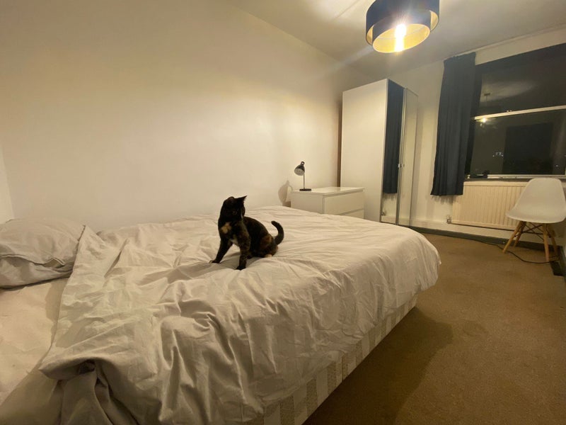 Room Camden Road in Greater London