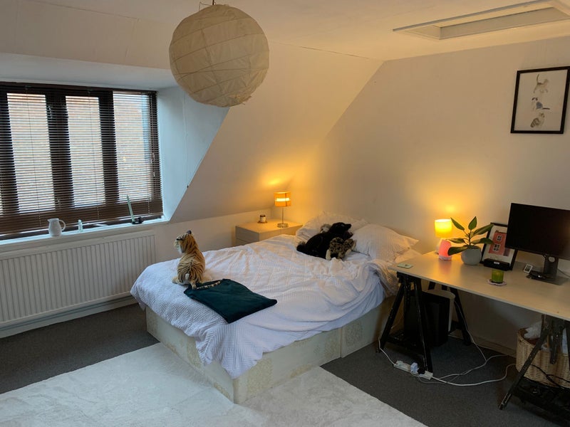 Room Bingfield Street in Greater London