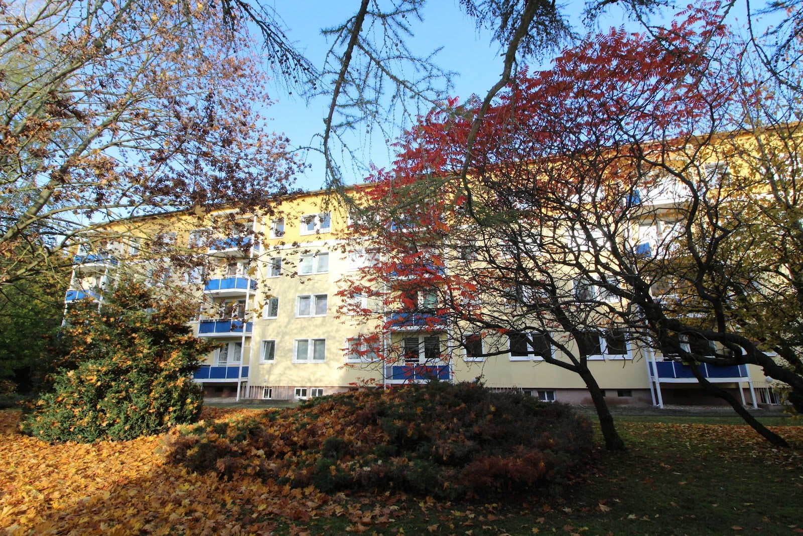 Zimmer Kastanienweg in Bernburg (Saale)
