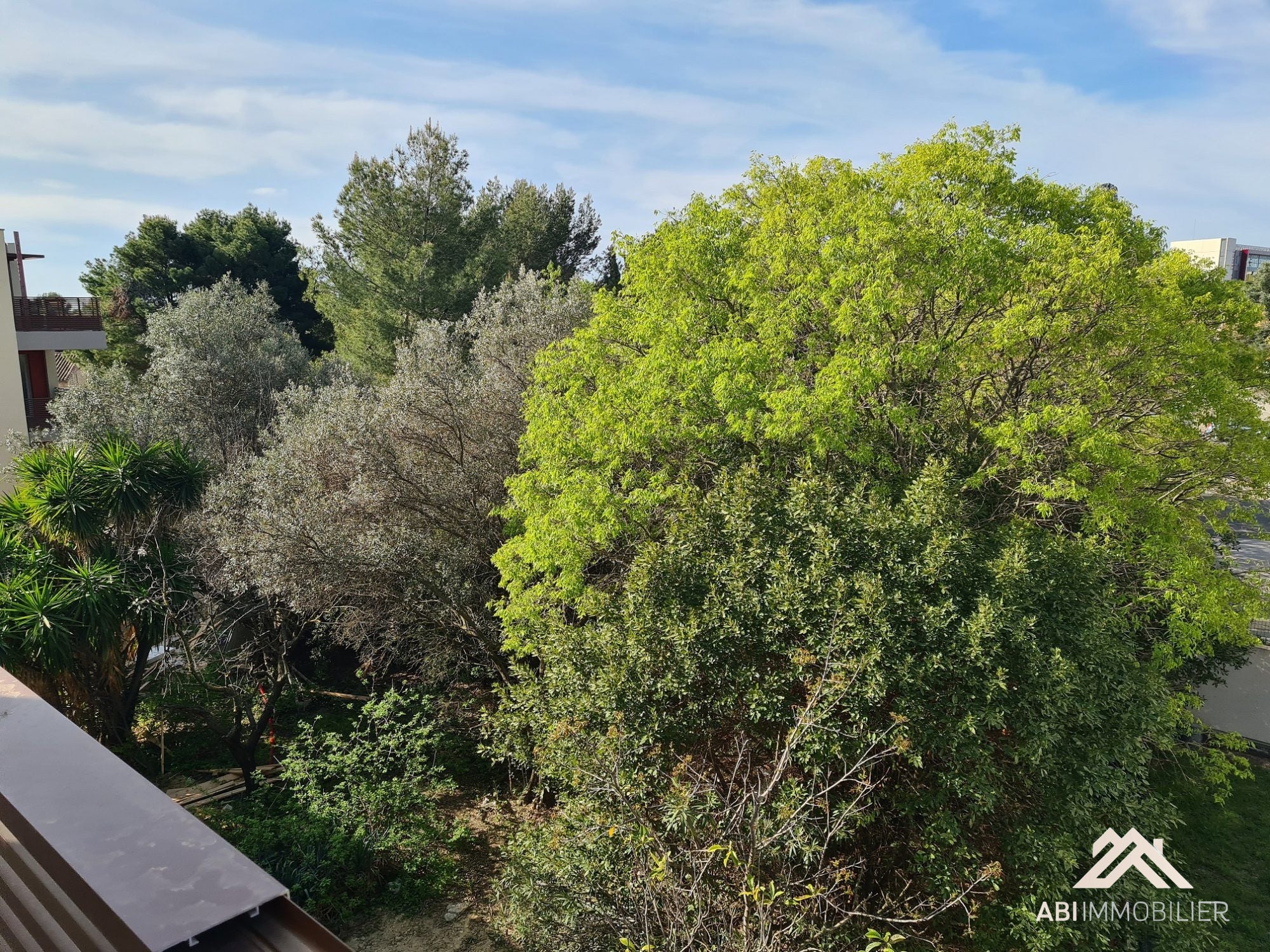 Appartement Avenue de Villeneuve-Angoulème à Montpellier