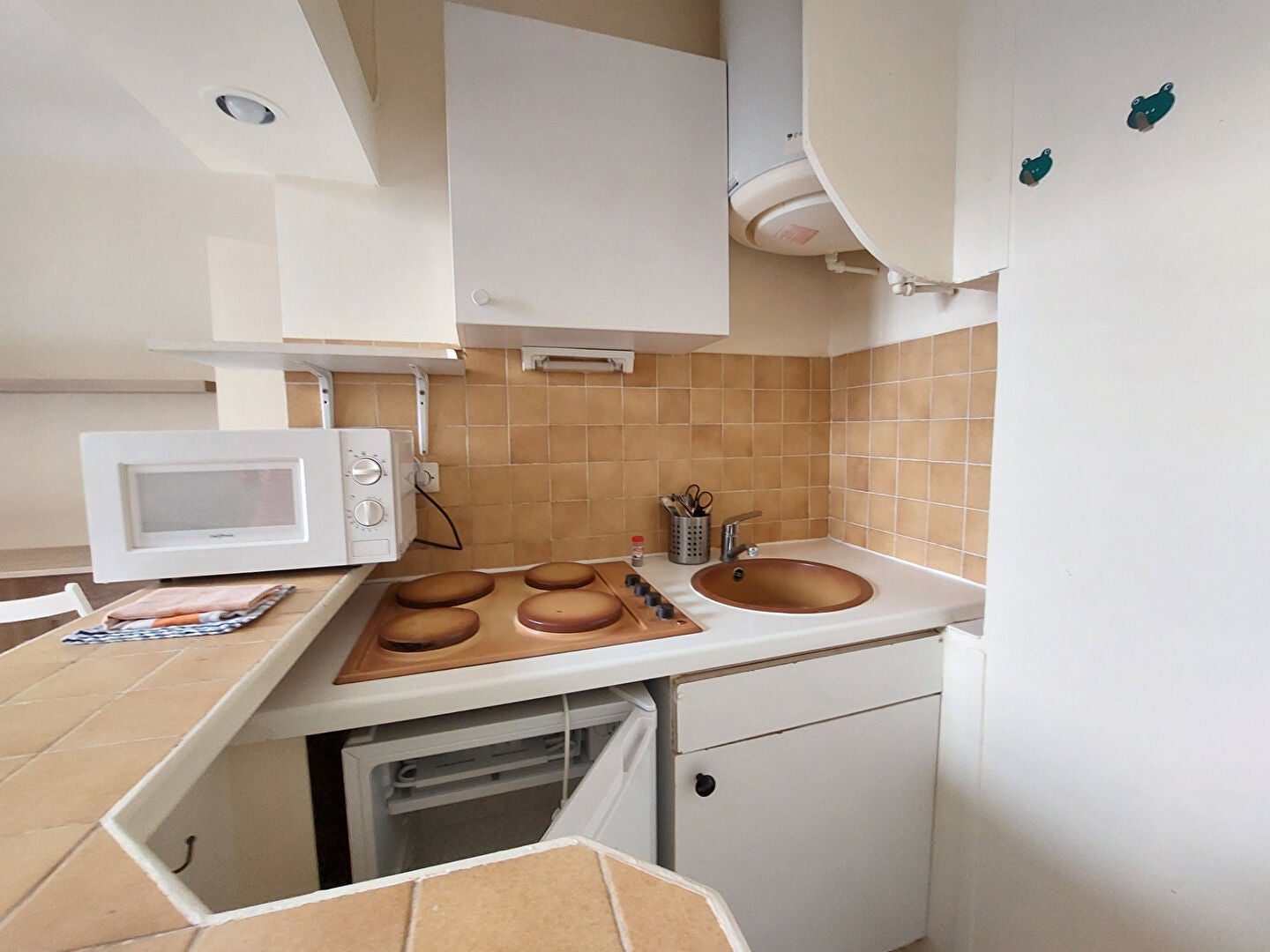 Flat Rue François Mouthon in Paris