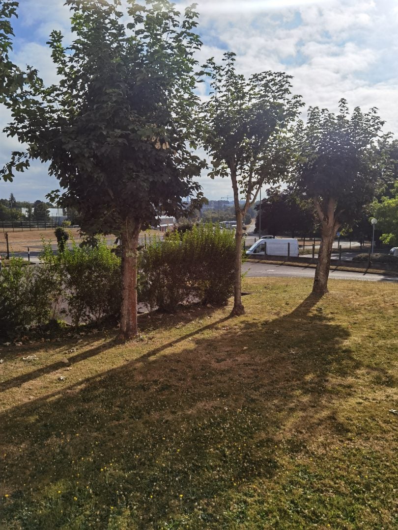 Appartement Avenue Général Leclerc à Rennes
