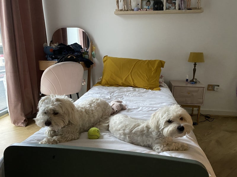 Room Alexandra Avenue in Greater London