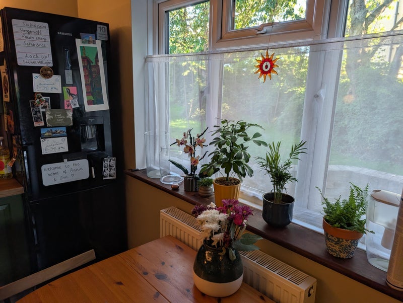 Room Whitefield Road in Bristol
