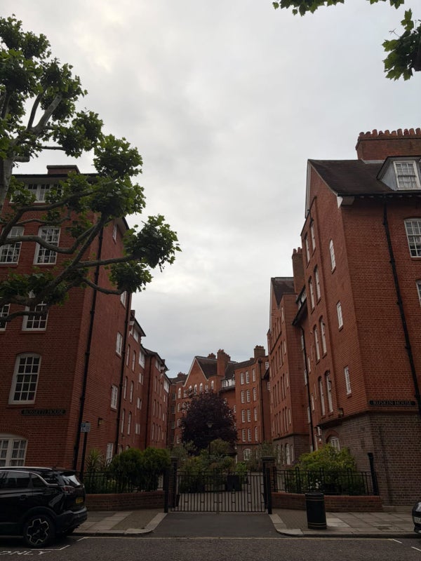 Room Erasmus Street in City of Westminster