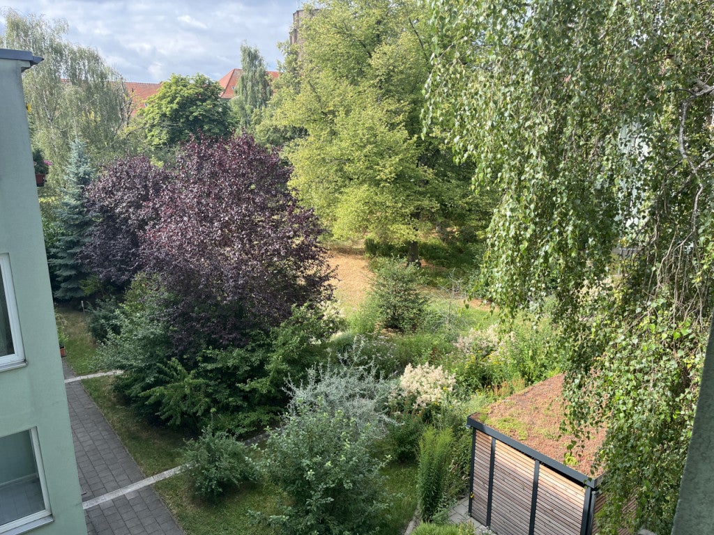 Wohnung Brucknerstraße in Halle (Saale)