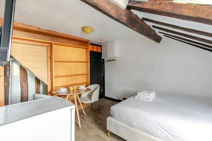 Flat Rue de Verneuil in Paris