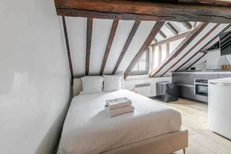 Flat Rue de Verneuil in Paris