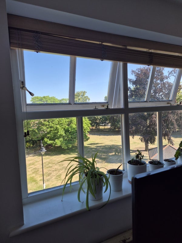 Room Macmillan Way in Greater London