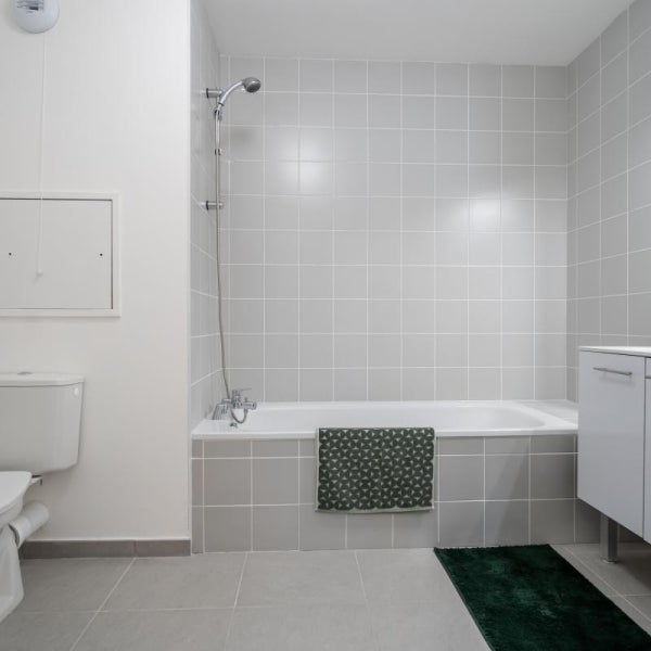 Flat Rue de Chamrousse in Grenoble