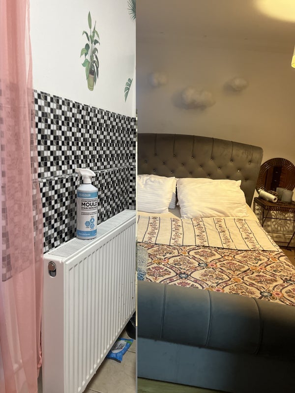 Room Addison Road in Greater London