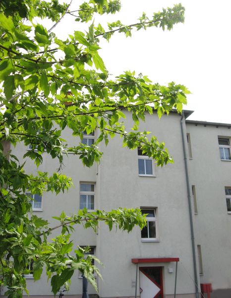 Wohnung Privatstraße in Schkeuditz