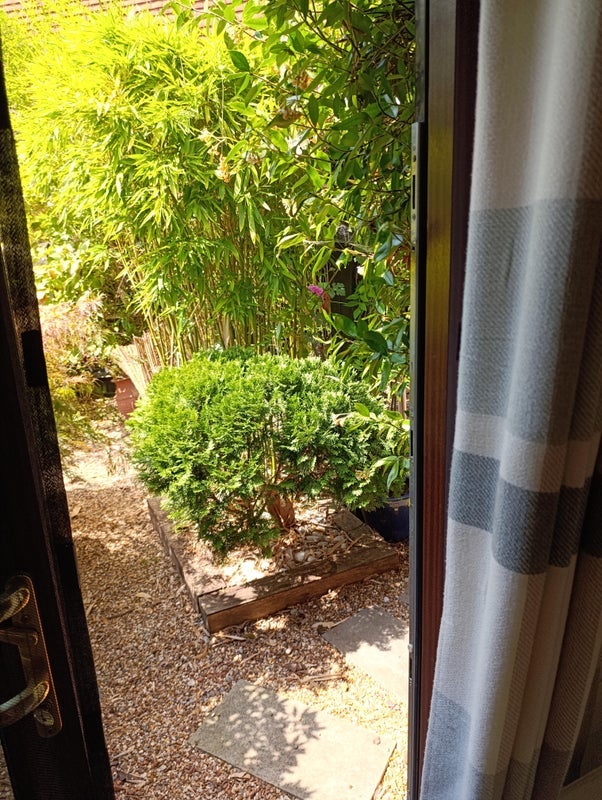 Room Mathams Drive in East Hertfordshire