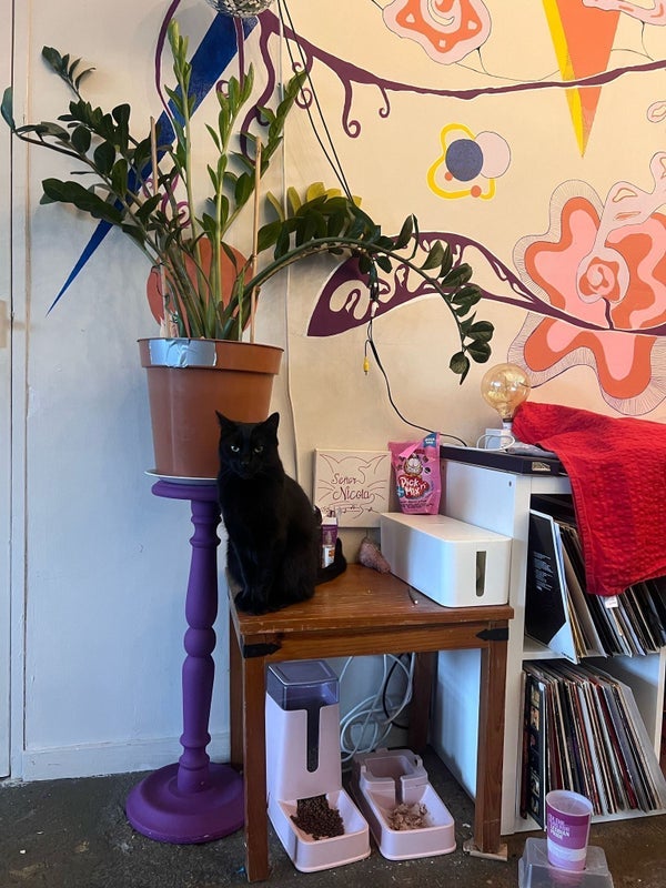 Room Catwalk Place in Greater London