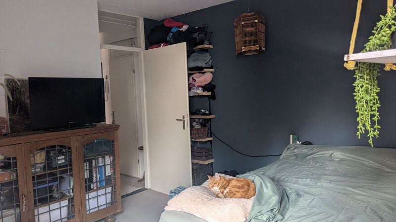 Appartement Caeciliastraat 8