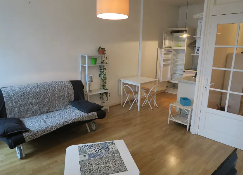 Appartement Rue Antoine Barbier à Lyon