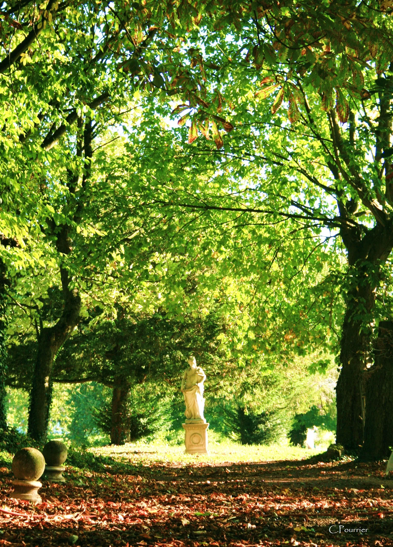 Maison Route de Vouziers à Condé-sur-Aisne