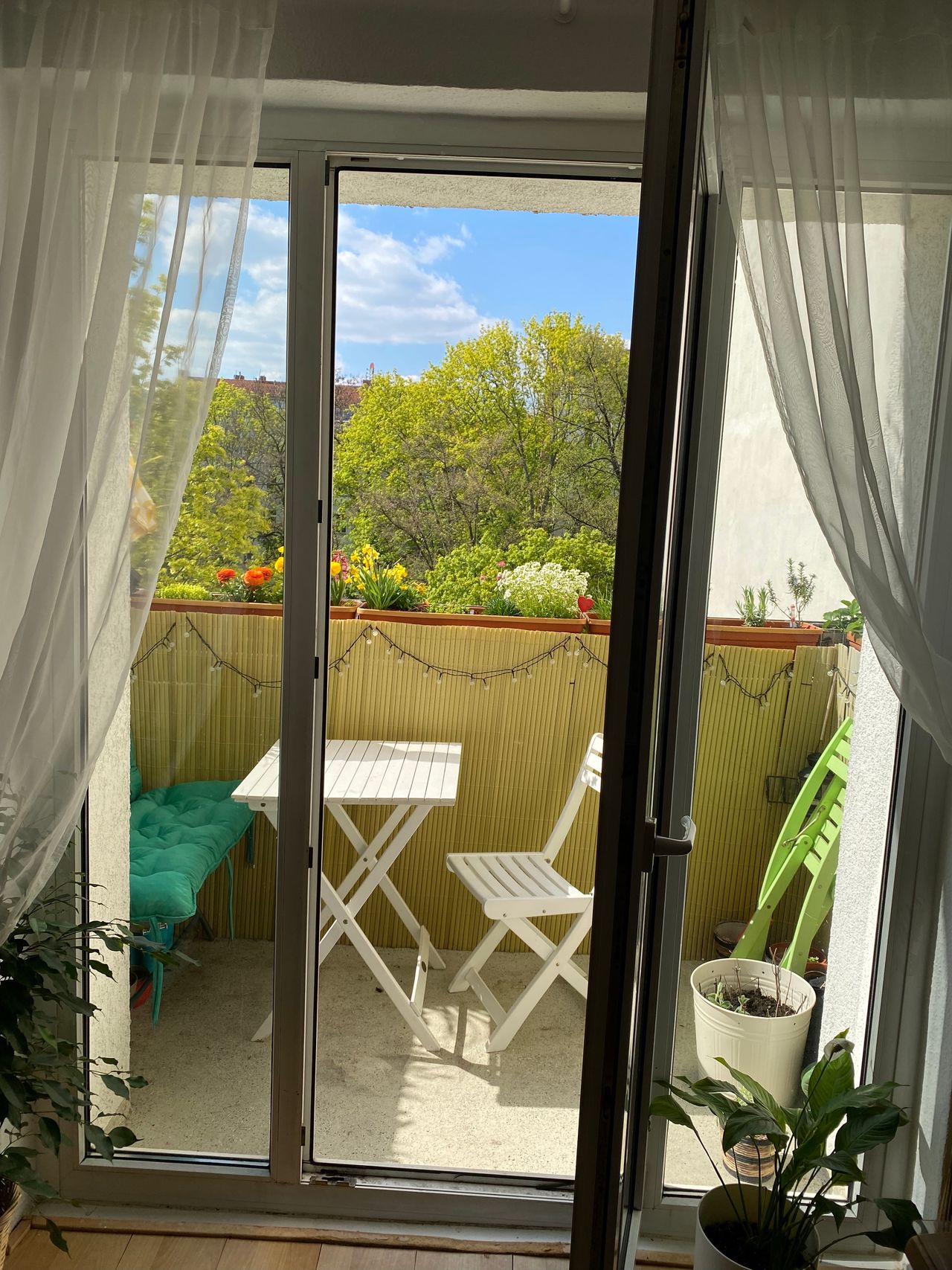 Wohnung Choriner Straße in Berlin