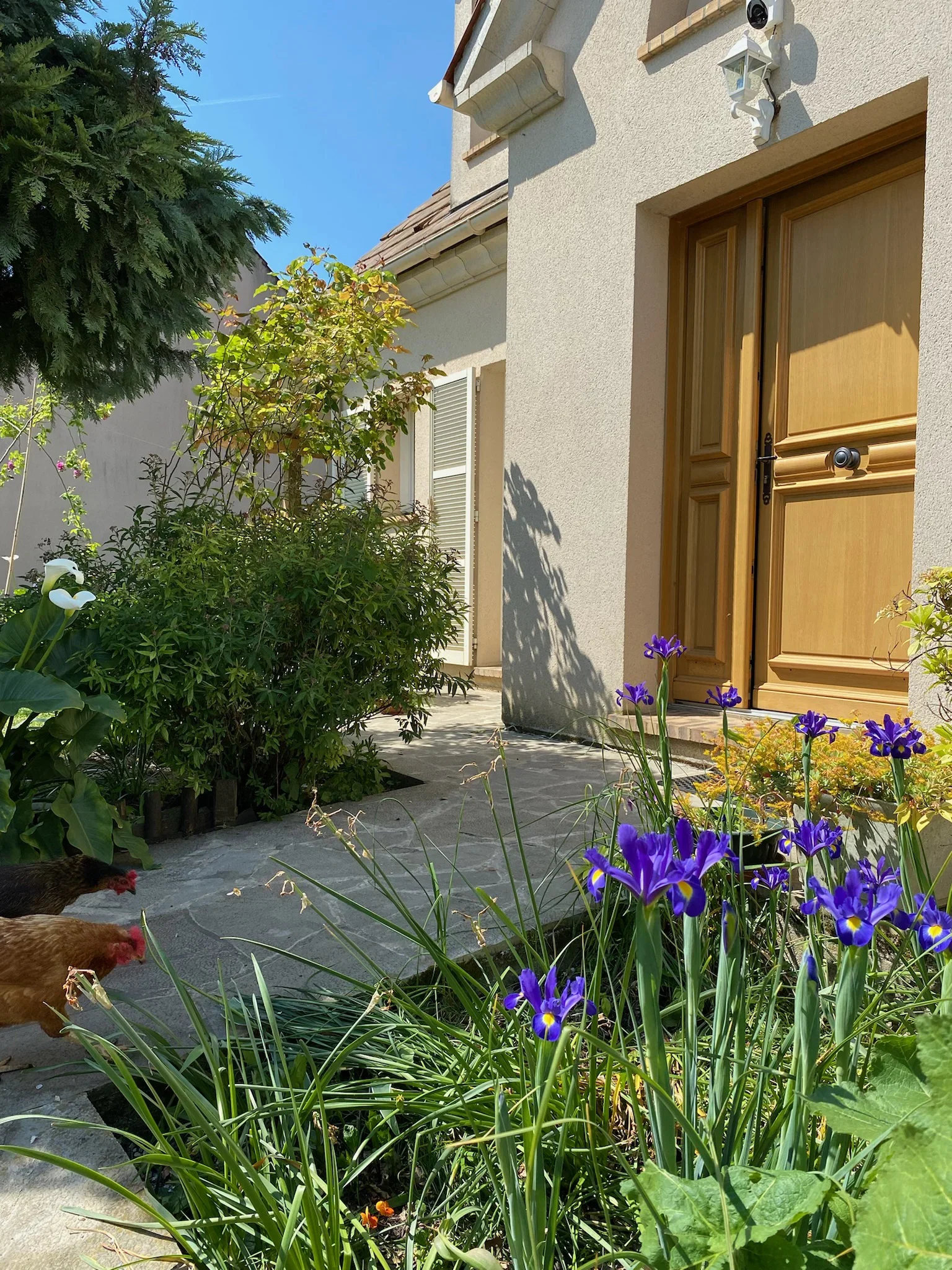 Room Allée des Bournouviers in Herblay-sur-Seine