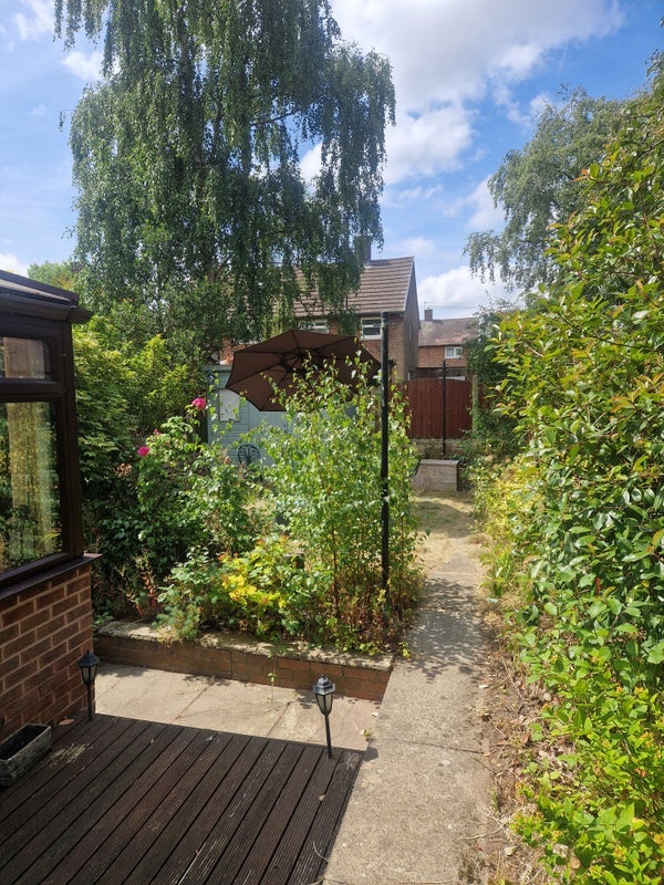 Room Reney Avenue in Sheffield