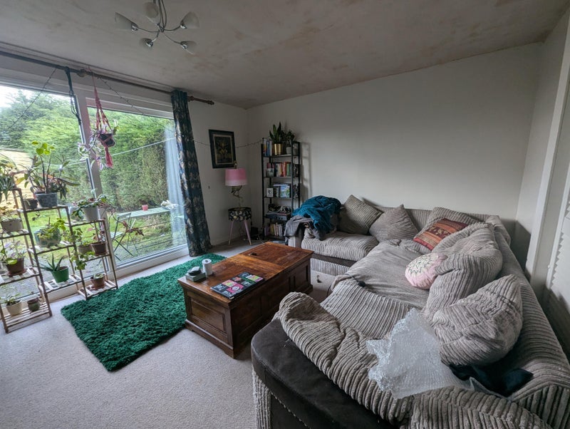 Room Brindley Crescent in Sheffield