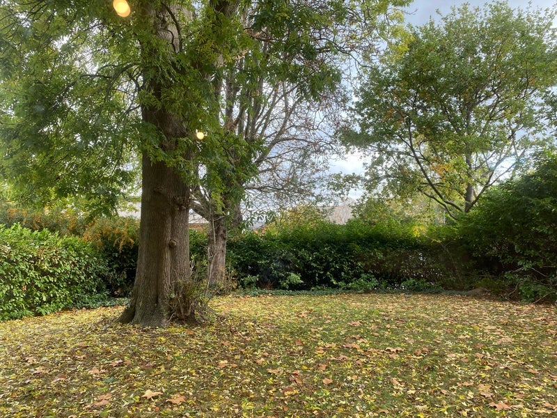Room Highfield Close in Greater London
