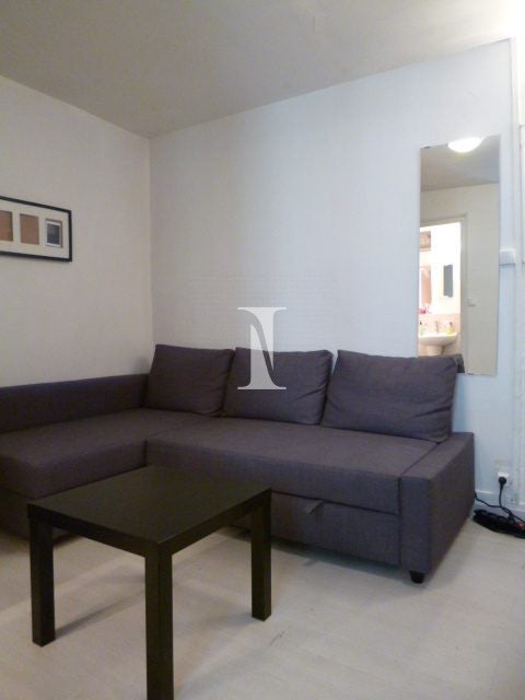 Flat Rue Lecourbe in Paris