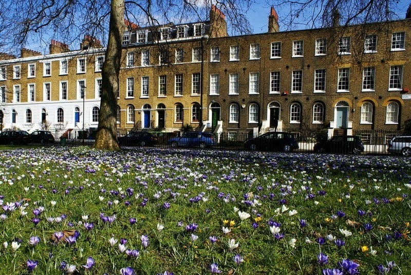 Room Addington Square in Greater London