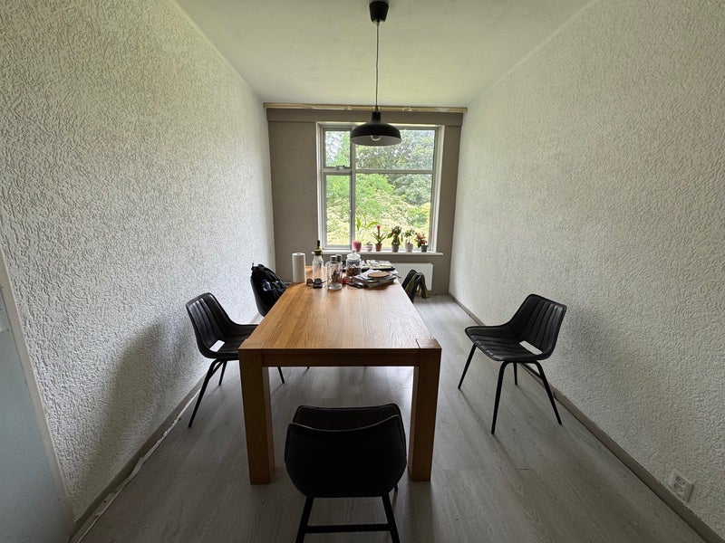 Appartement Reitse Hoevenstraat 5