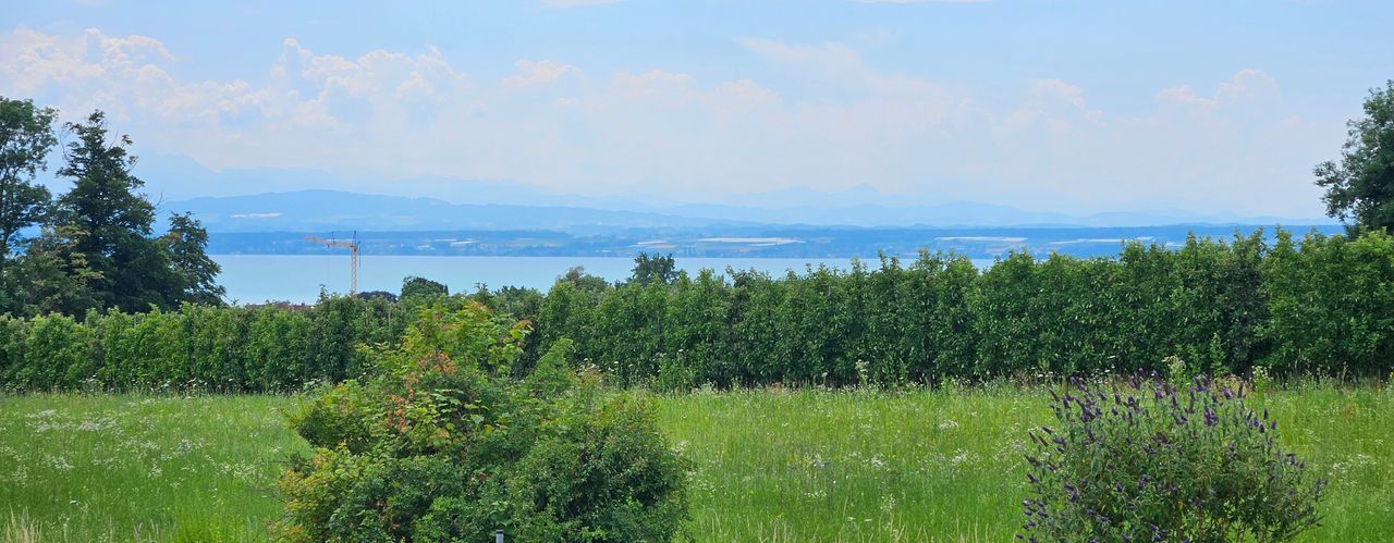 Wohnung Kupferbergstraße in Immenstaad am Bodensee