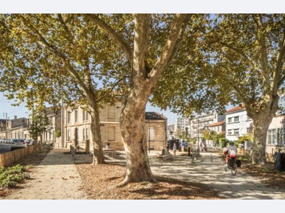 Flat Rue duffour-dubergier in Bordeaux