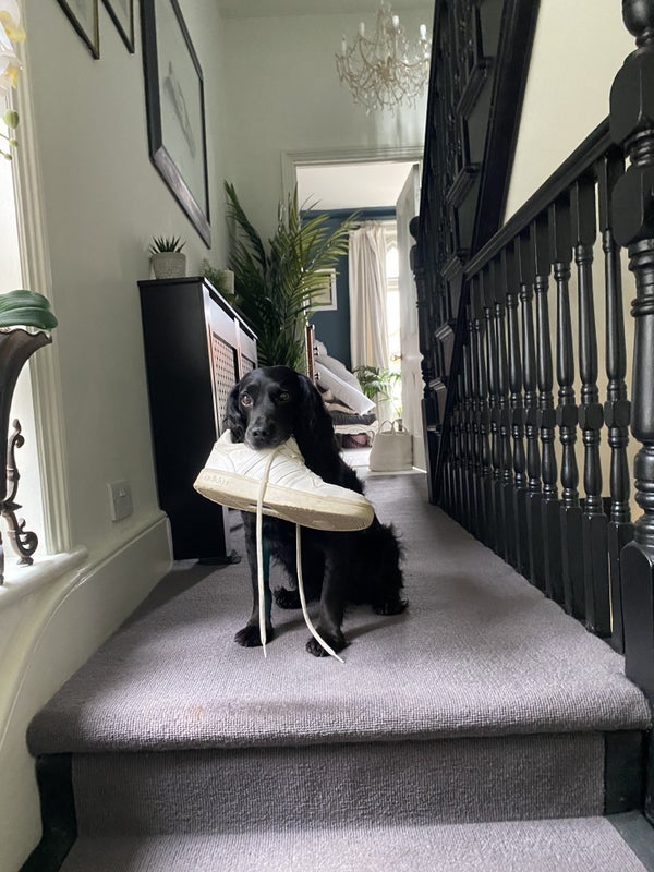 Room Drewstead Road in Greater London