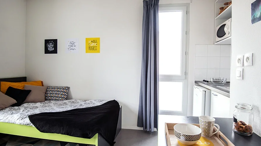 Chambre Avenue Berthelot à Lyon