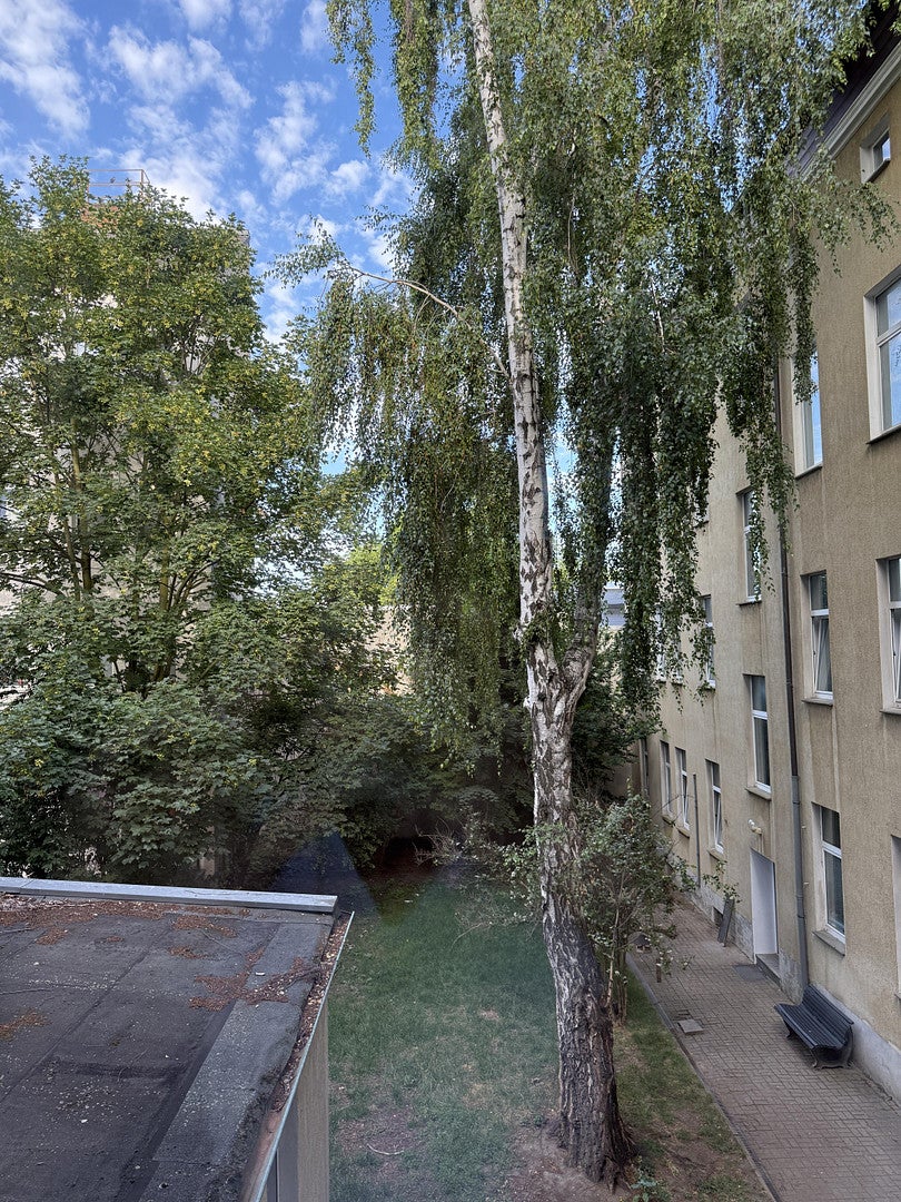 Wohnung Westring in Magdeburg