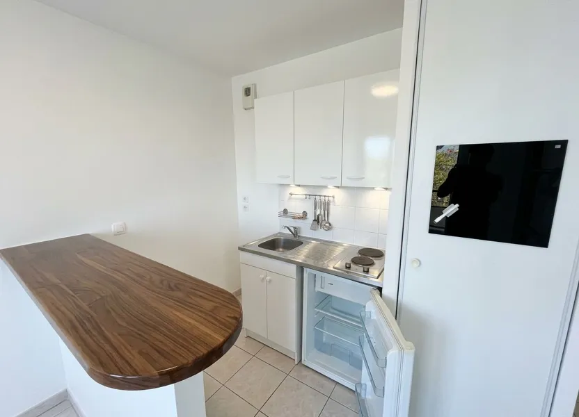Flat Rue du 24 Mars 1852 in Lyon