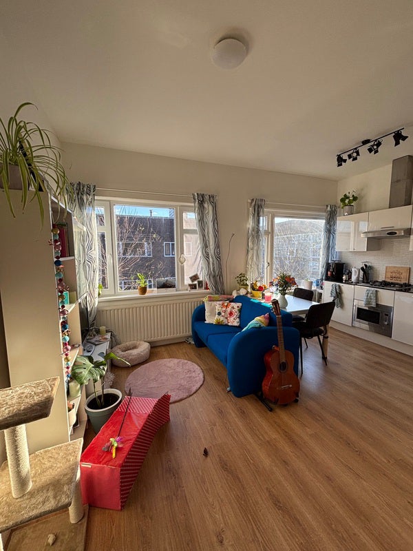 Flat J.C. Kapteynlaan in Groningen