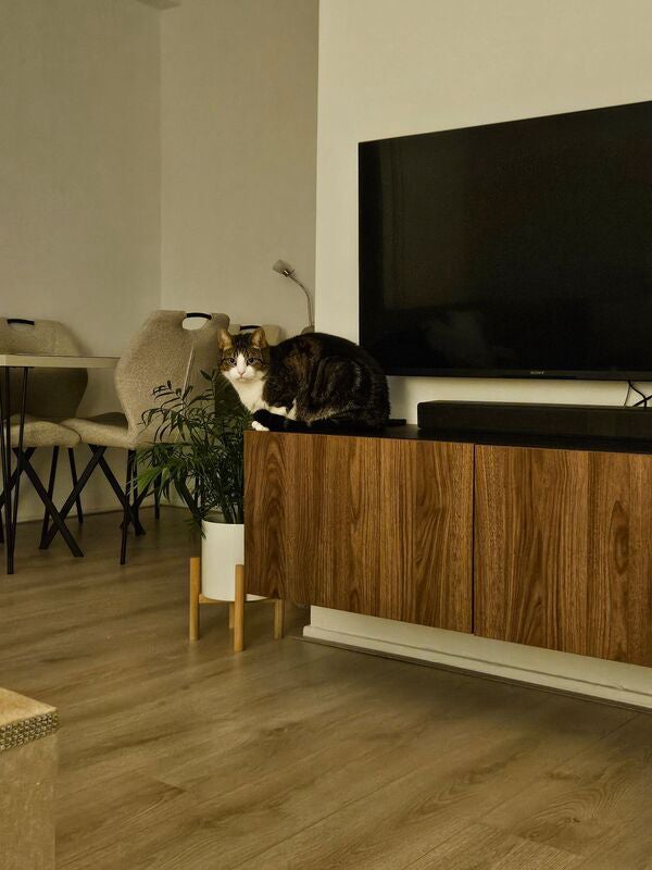 Appartement Griegstraat 3