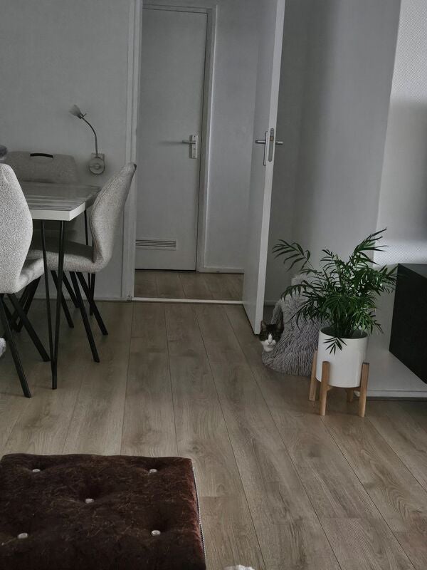 Appartement Griegstraat 4