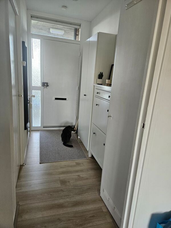 Appartement Griegstraat 13