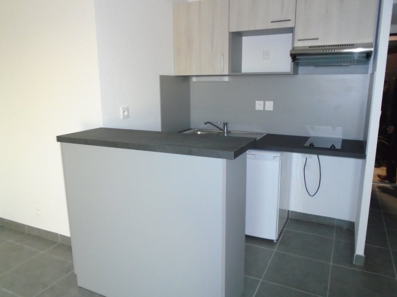Flat Rue Jacques Guignard in Pibrac