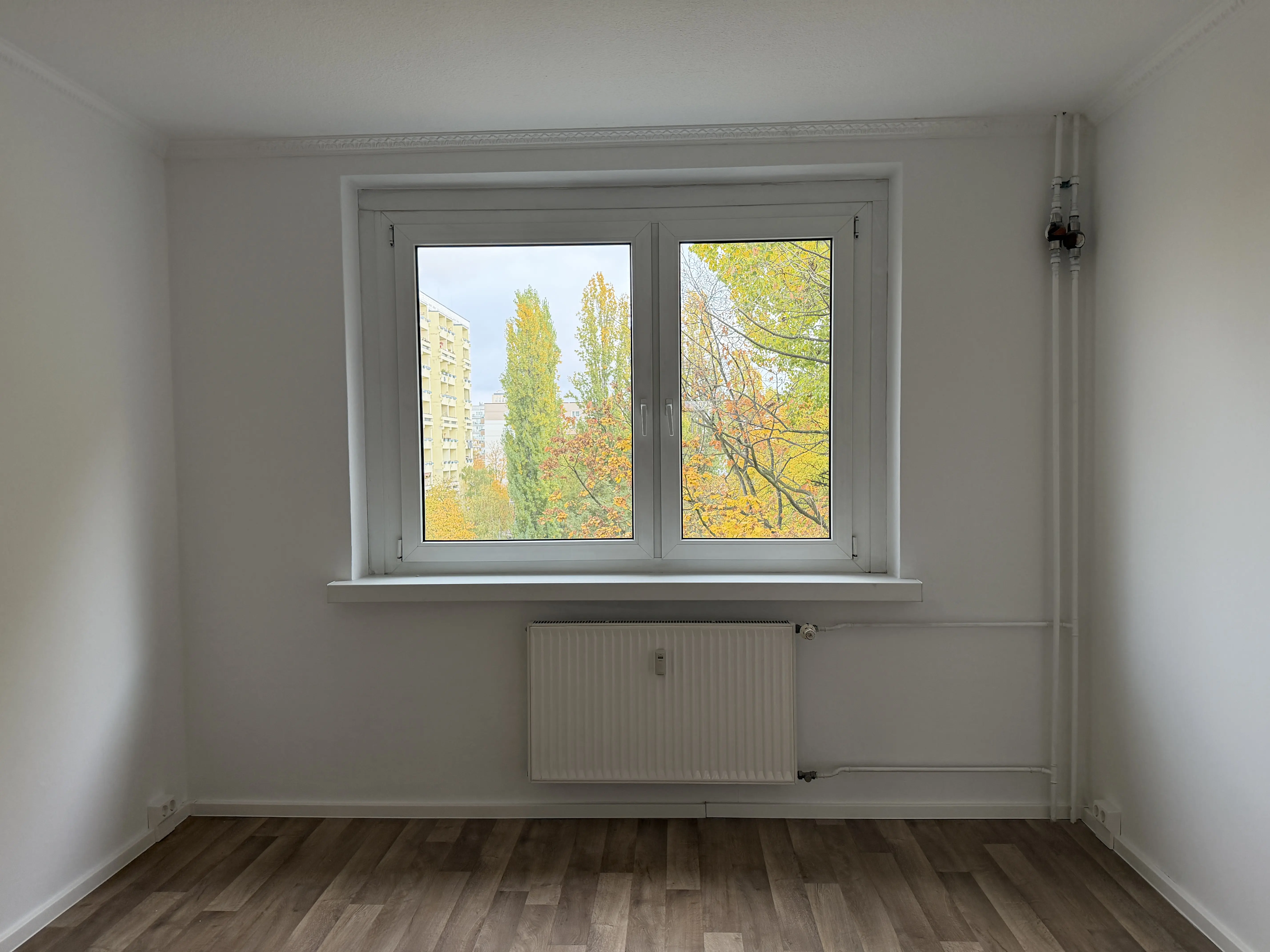 Wohnung Jacobystraße in Berlin