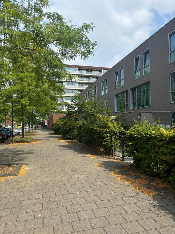 Appartement Bart Poesiatstraat in Amsterdam