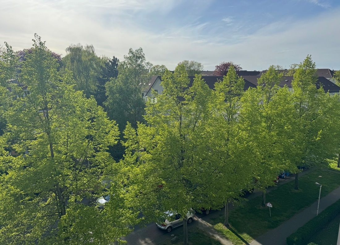 Wohnung Spinnerstraße in Braunschweig