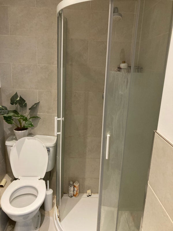 Room Trebovir Road in Greater London