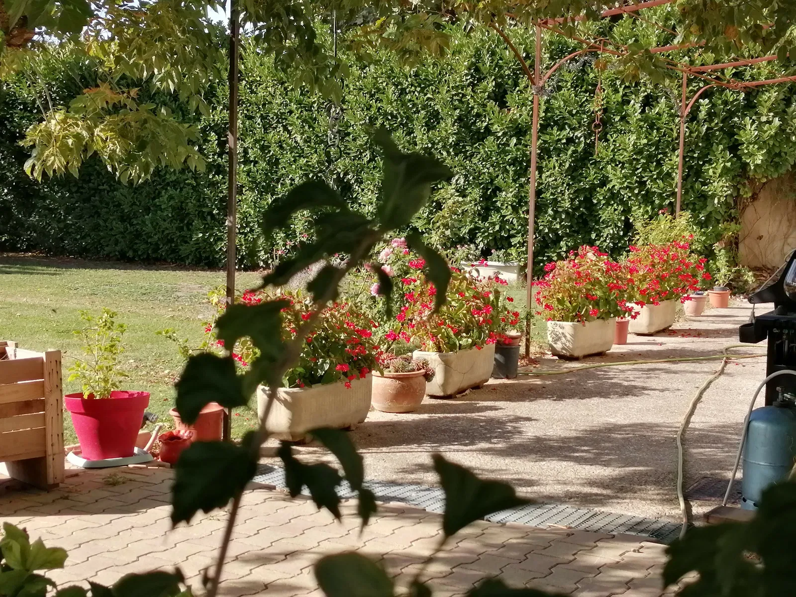 Chambre Chemin des Fourches à Piolenc