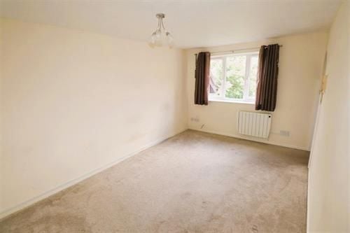 Flat Redwood Grove in Bedford