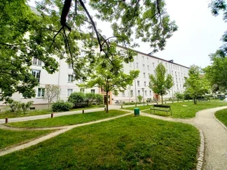 Wohnung Mosenstraße in Dresden