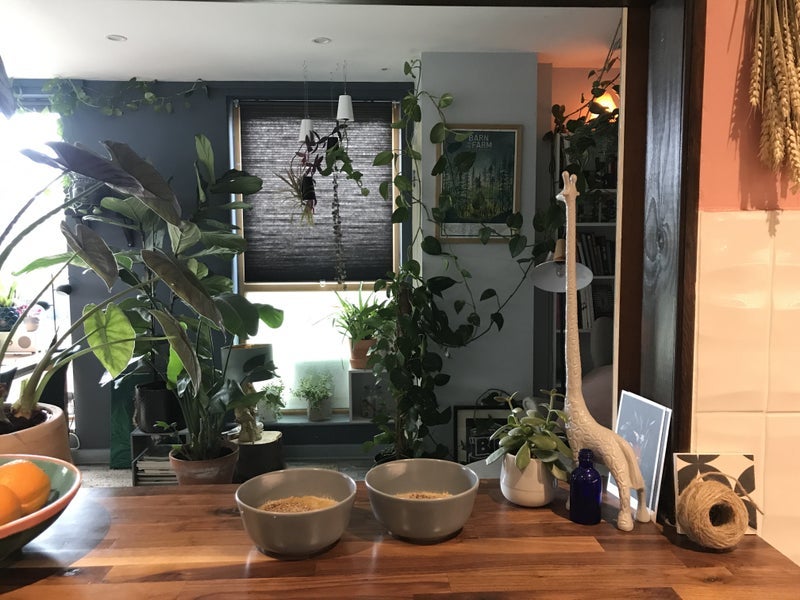 Room Radcliffe Road in Greater London