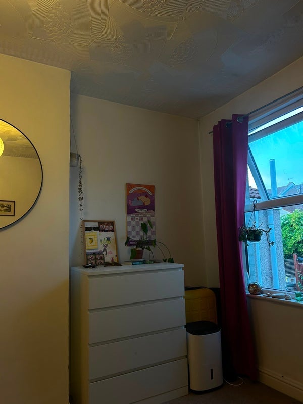 Room Friezewood Road in Bristol