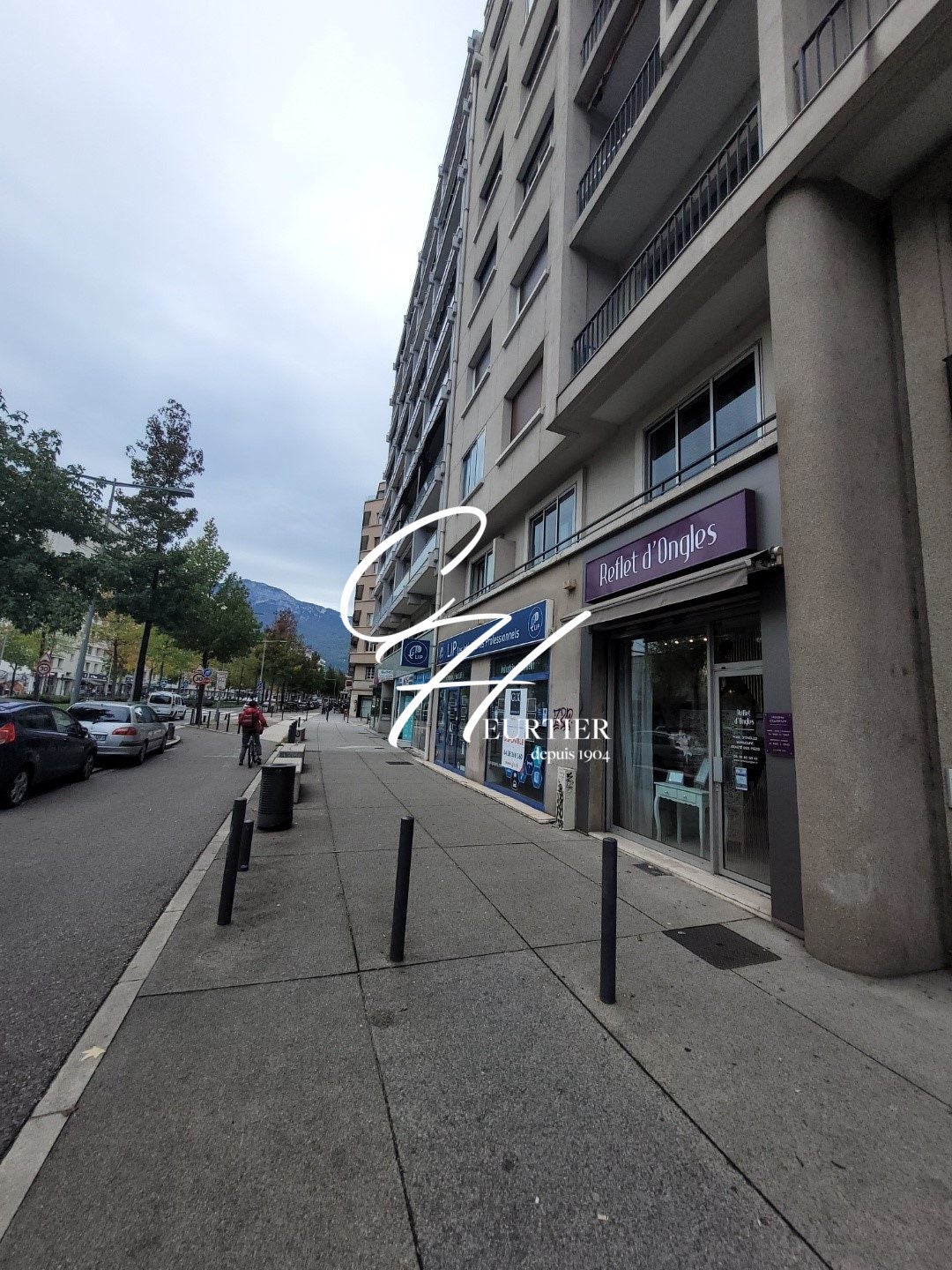 Flat Cours de la Libération et du Général de Gaulle in Grenoble